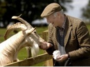 29. Adam Henson's Cotswold Farm Park